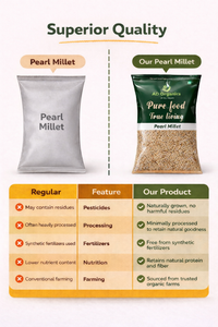 Pearl Millet (Bajra)